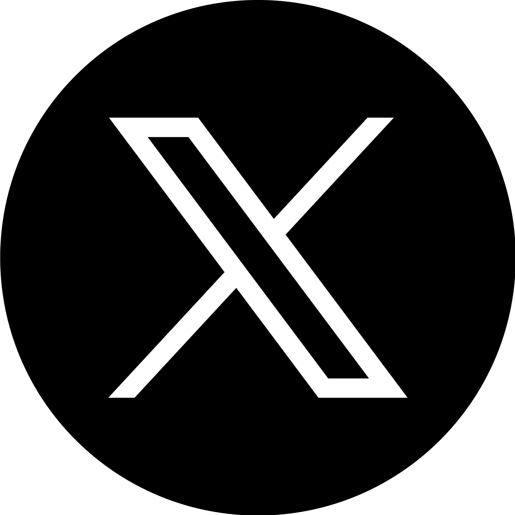 X Icon